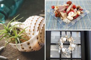 Tante idee creative per abbellire casa con conchiglie, sassi e legni di mare abbellire casa con conchiglie, sassi e legni di mare.