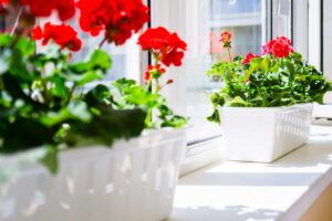 Come pulire davanzali, soglie e corrimano di marmo: ecco qualche rimedio naturale Come pulire davanzali, soglie e corrimano di marmo.