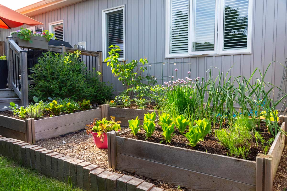 Come realizzare un giardino in vaso.