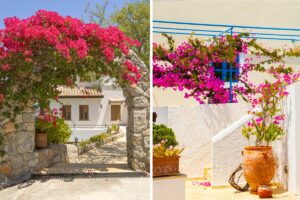 7 modi meravigliosi di decorare l'esterno con la bouganville: lasciatevi ispirare decorare-esterno-con-bouganville