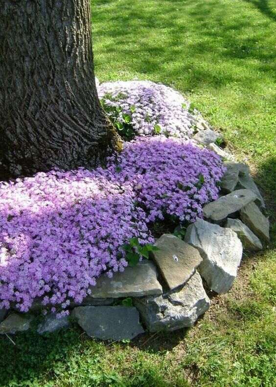 decorare gli alberi del giardino