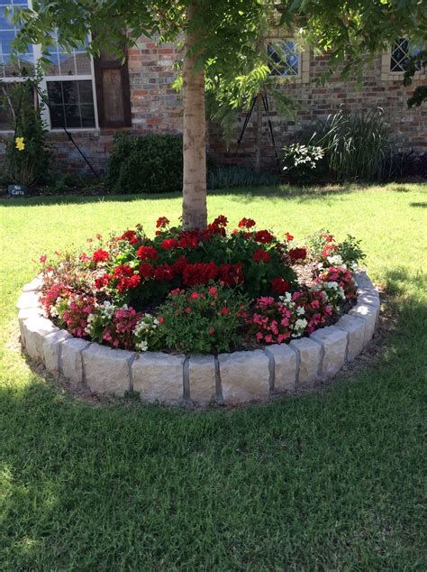 decorare gli alberi del giardino