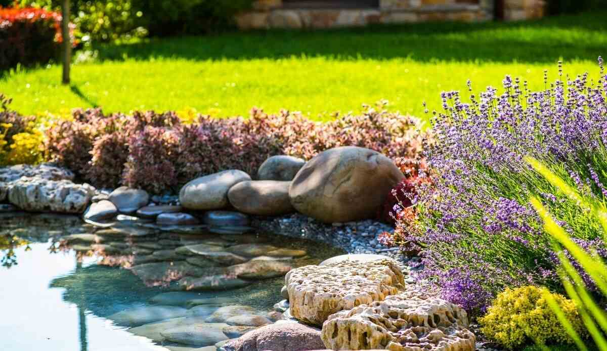 decorare il giardino con i sassi