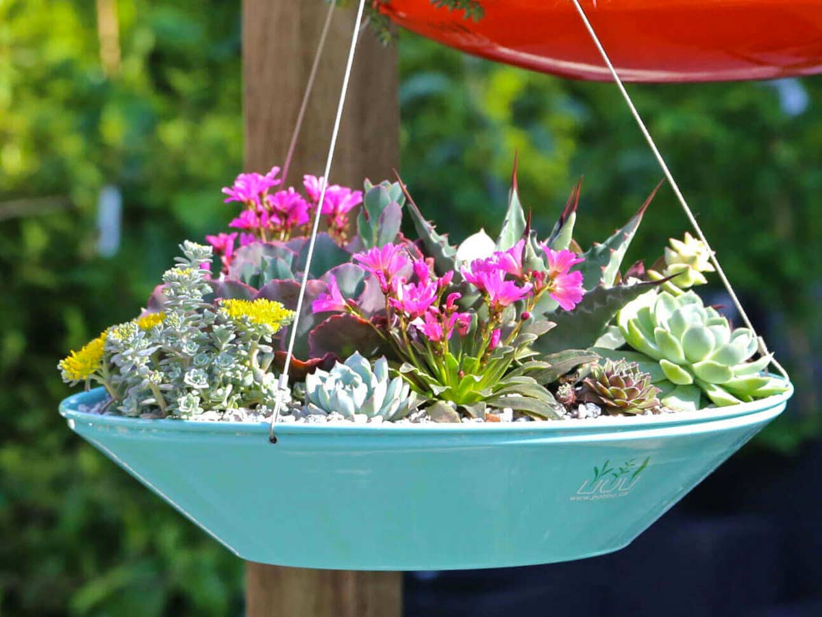 Decorare il giardino in modo creativo con delle piantine sospese.