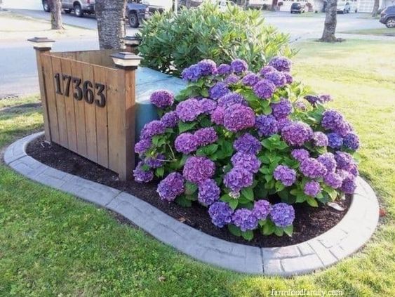 decorare il giardino con le aiuole