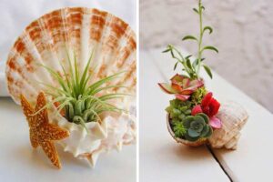 Realizzare una magnifica fioriera in una conchiglia: 14 idee bellissime per ispirarsi Realizzare una magnifica fioriera in una conchiglia.