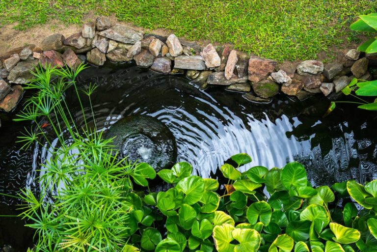 5 idee originali per creare una fontana da giardino fai da te: ispiratevi