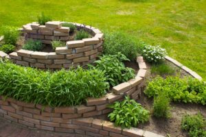Giardino di erbe aromatiche? Ecco cosa c’è da sapere per farne uno bellissimo Giardino di erbe aromatiche.