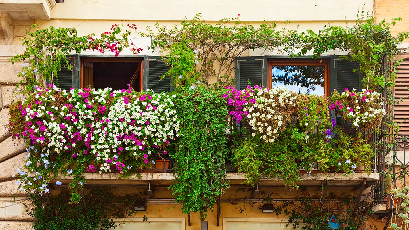 Come avere giardino e balcone fiorito e colorato tutto l'anno.