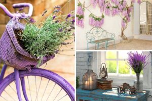 Scegliere le piante perfette per l'arredamento provenzale.