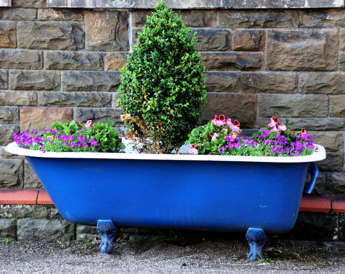 bathtub planter