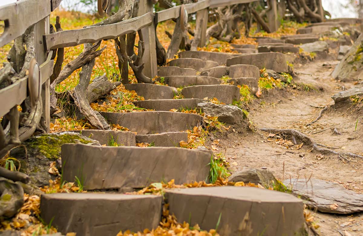 Arredare il giardino con i tronchi di legno per un effetto unico.