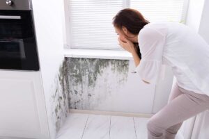 Come eliminare il cattivo odore dell’umidità in casa: gli accorgimenti da utilizzare Come eliminare il cattivo odore dell’umidità in casa.