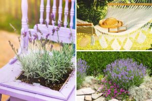 Creare un angolo di Provenza in giardino: ecco le splendide ispirazioni Creare un angolo di Provenza in giardino.