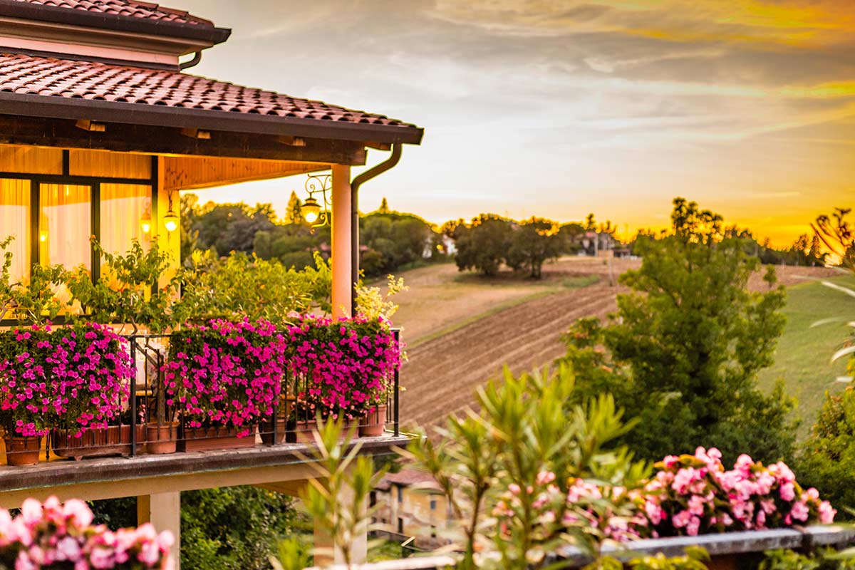 fiori super colorati per decorare balcone e giardino d'estate