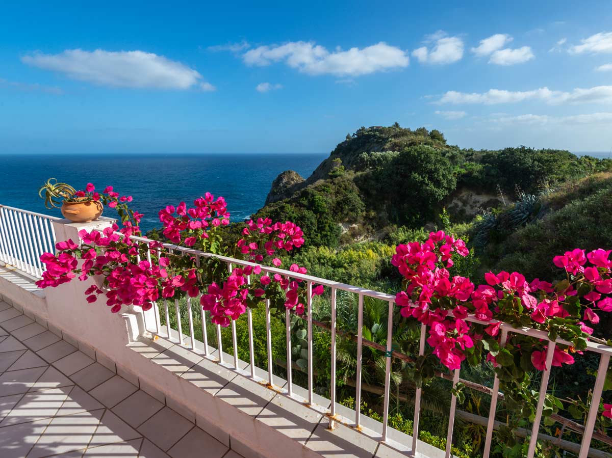 fiori fucsia perfetti per abbellire il balcone