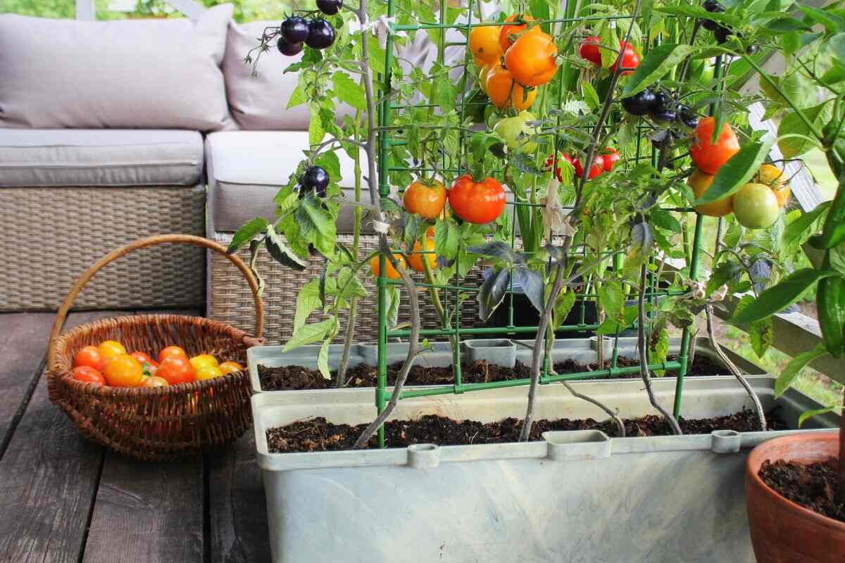 giardino in balcone