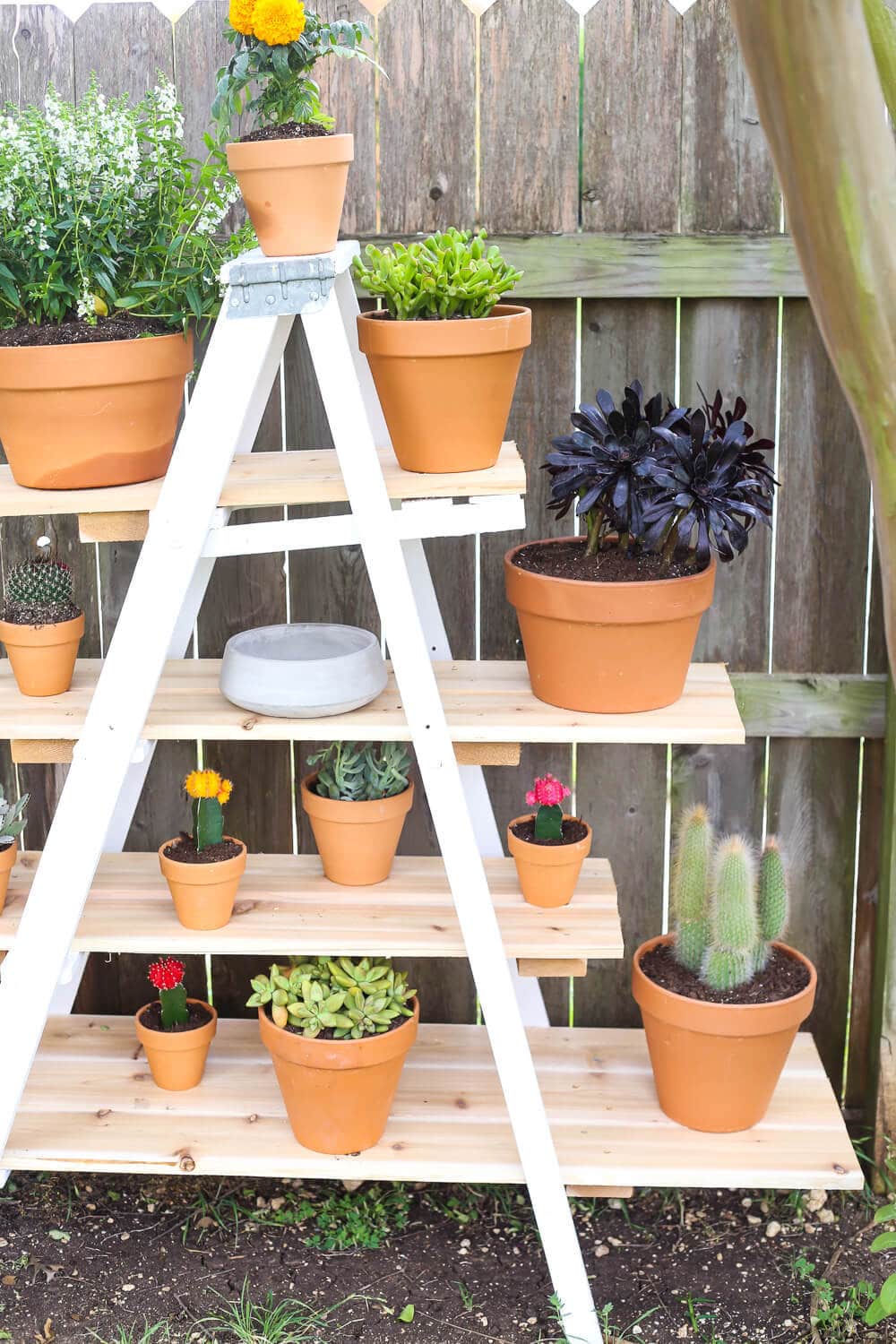 Easy ladder plant stand