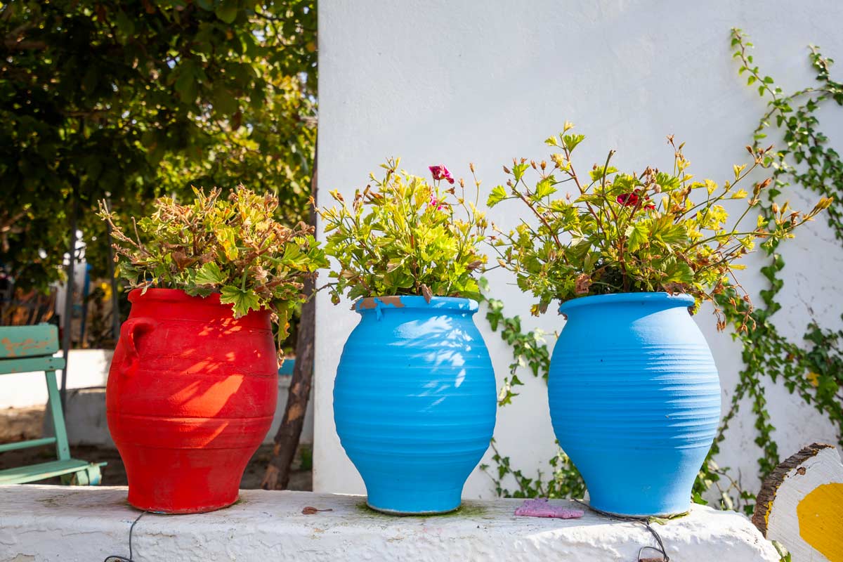 Vasi in terracotta da dipingere per abbellire casa e giardino