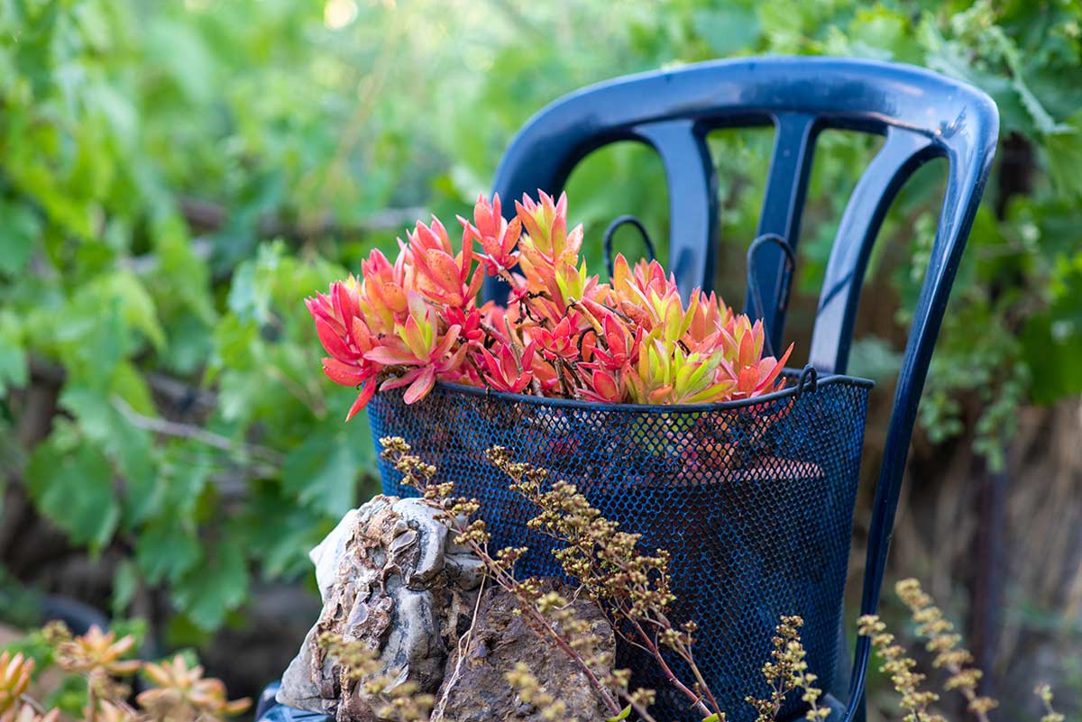 Come arredare un giardino con materiale riciclato.