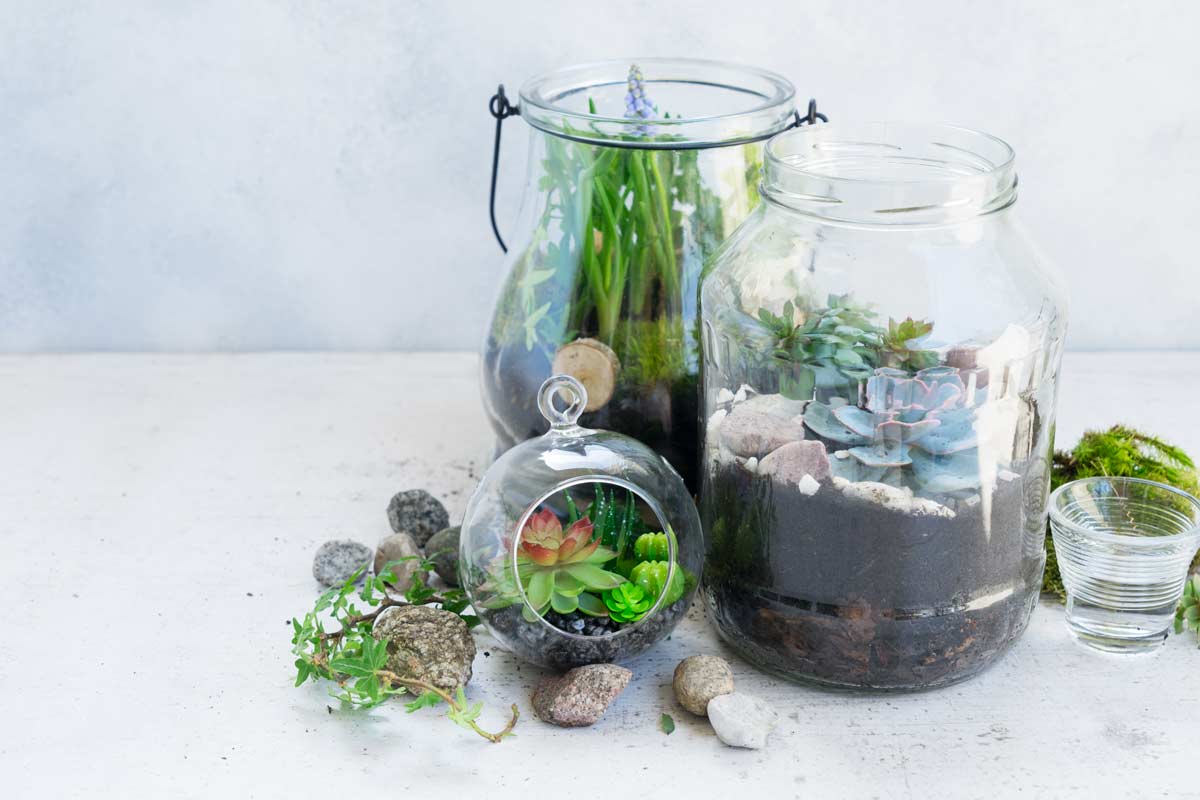 trasformare i barattoli di vetro e di latta in originali vasi per piante