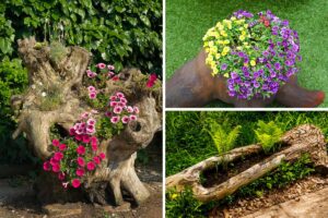 Fioriere create con i tronchi di alberi abbattuti: tante meravigliose idee Fioriere create con i tronchi di alberi abbattuti.