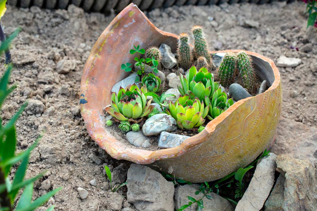 riciclare vasi e anfore di terracotta per il giardino
