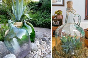 15 idee per trasformare le vecchie damigiane di vetro in oggetti decorativi per casa e giardino trasformare-vecchie-damigiane-oggetti-decorativi