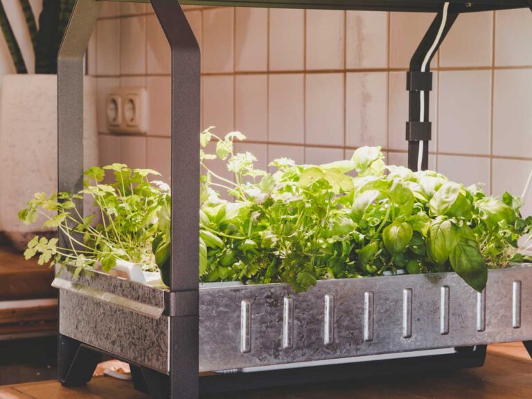 Registro Parametri Idroponica - Vegan Food Corner