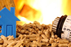 Quanto consuma una stufa a pellet in inverno? consumo stufa a pellet in inverno