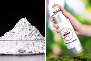 Eliminare gli insetti in casa? Ecco i rimedi naturali più efficaci in assoluto Eliminare gli insetti in casa.