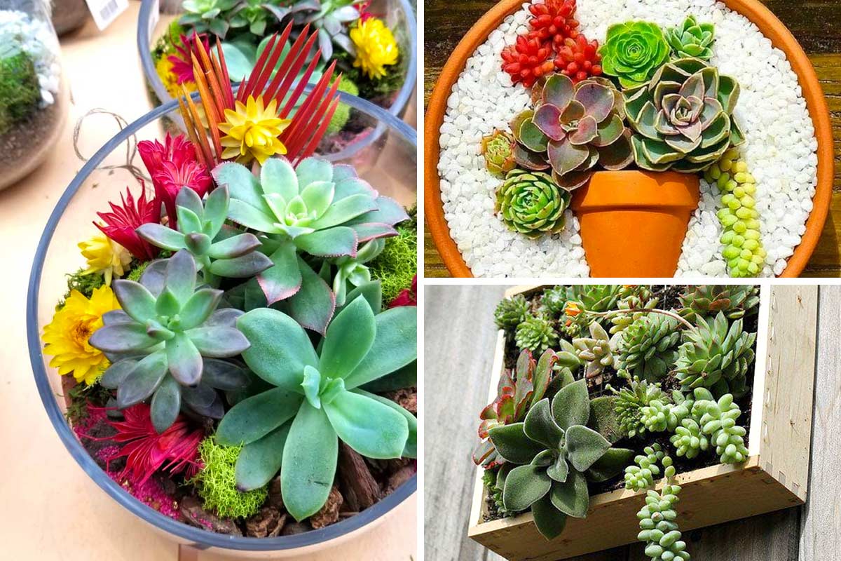Confezione 36 Piccole Anatre In Miniatura Multicolore – Decorazioni In Resina Per Giardino, Casa Delle Bambole, Slime E Artigianato Creativo