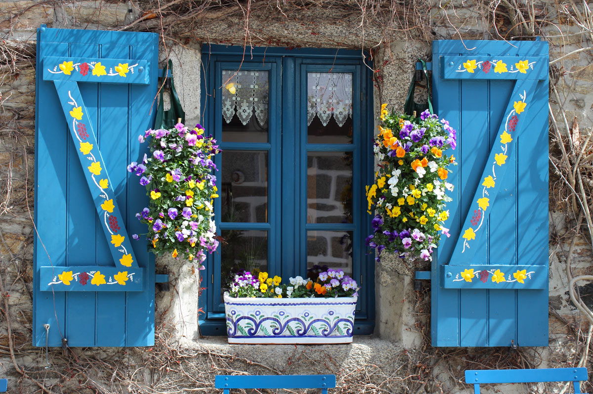 Bella finestra in legno blu con vaso di fiori colorati autunnali sul balcone.