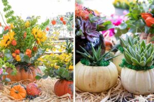 Centrotavola con le zucche: le idee più creative per decorare la tavola d’autunno centrotavola con zucche