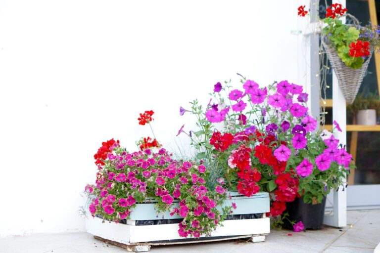Set Di Due Fioriere In Gres Karma 'Hello Sunshine', Grandi E Piccole. Resistenti E Colorate, Perfette Per Piante Grasse E Fiori, Per Interni Ed Esterni.