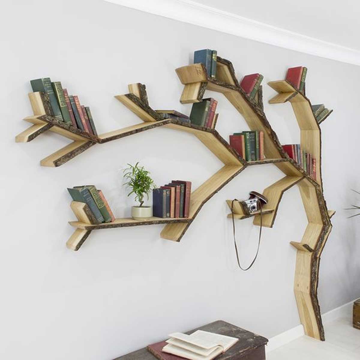 Meravigliose librerie a forma di albero: spunti incantevoli per
