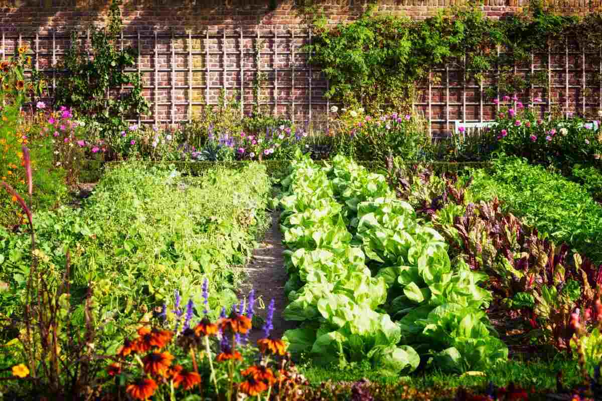 orto giardino fai da te