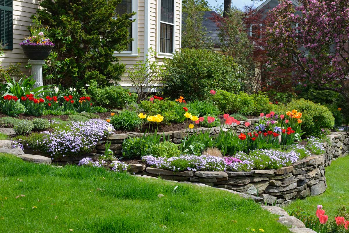 progettare un bel giardino paesaggistico