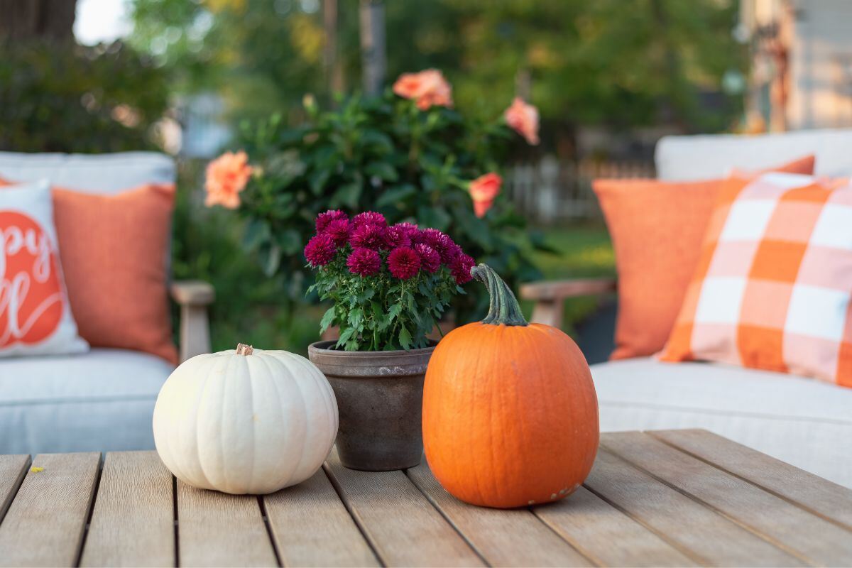 arredare e abbellire il terrazzo in autunno