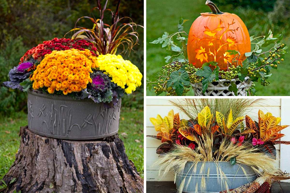 Un vaso creativo in giardino per decorare in autunno.