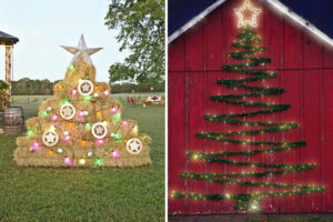 Un albero di Natale particolare per l'esterno: tante idee e ispirazioni fantasiose albero di Natale particolare per esterno