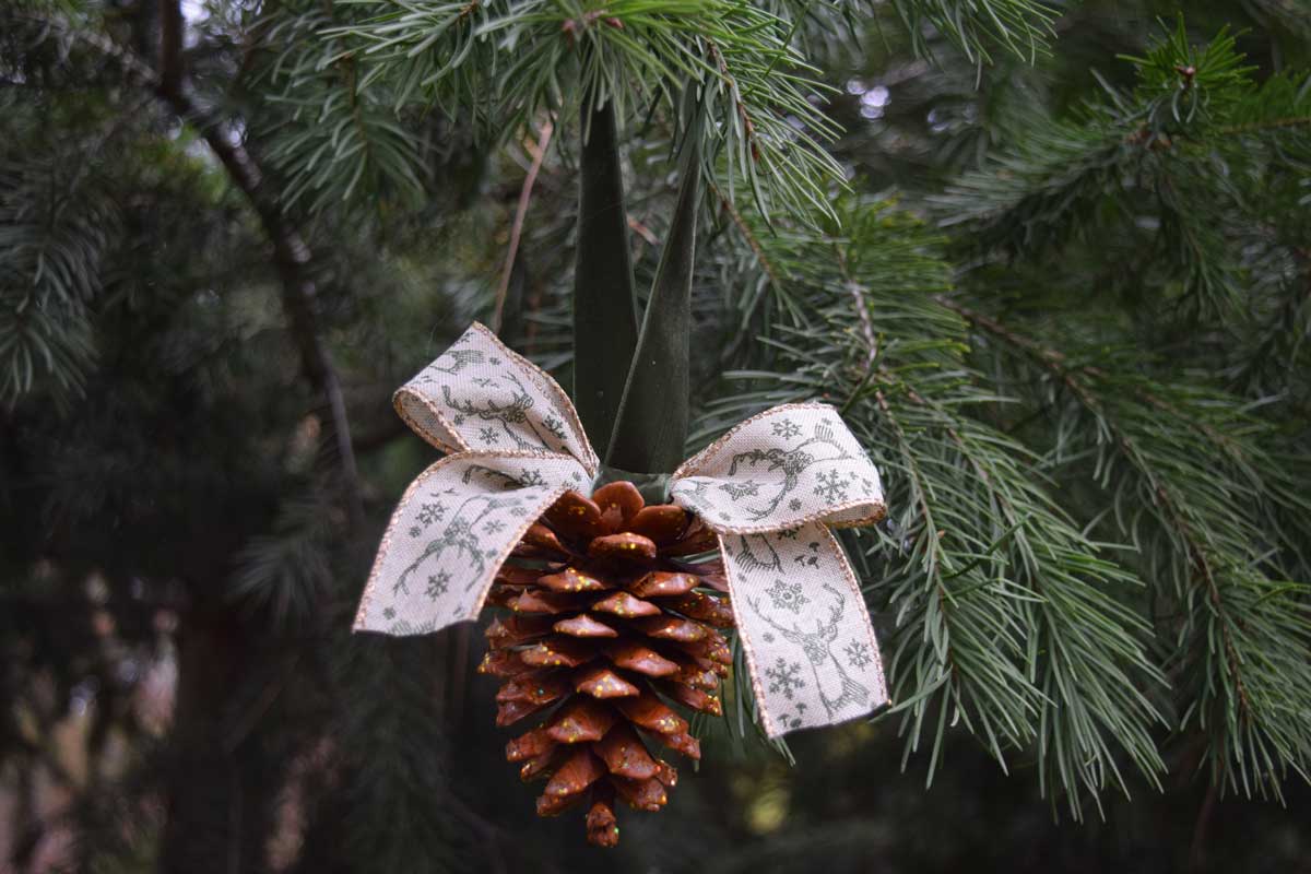 decorare l’albero di Natale con le pigne