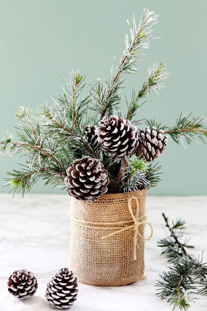 Baratolo rivestito di juta, con pigne e rami di pino all'interno, decorazione natalizia rustica.