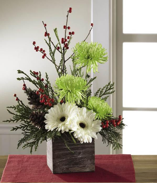 White gerbera daisies capture their attention at the base of this flower arrangement, with stems of green spider chrysanthemums, and red ilex berry stems extending upwards for a unique yuletide look. Accented with an assortment of Christmas greens and presented in a square wooden planter that gives it a natural and warm appearance. standard size