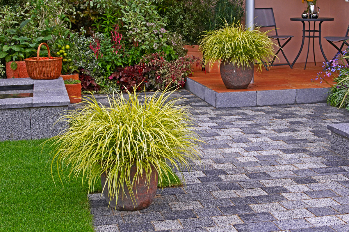 2 vasi con Carex in vaso abbelliscono il terrazzo