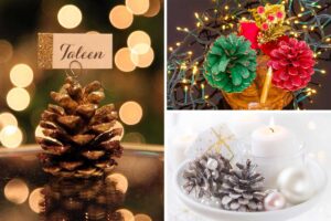 Come utilizzare le pigne per addobbare la tavola di capodanno: idee e ispirazioni da non perdere utilizzare le pigne per addobbare la tavola di capodanno