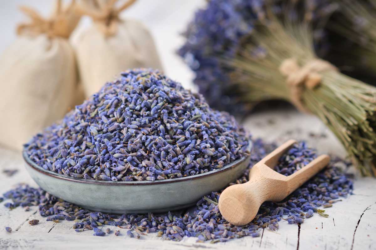 Lavanda essiccata in una ciotola.