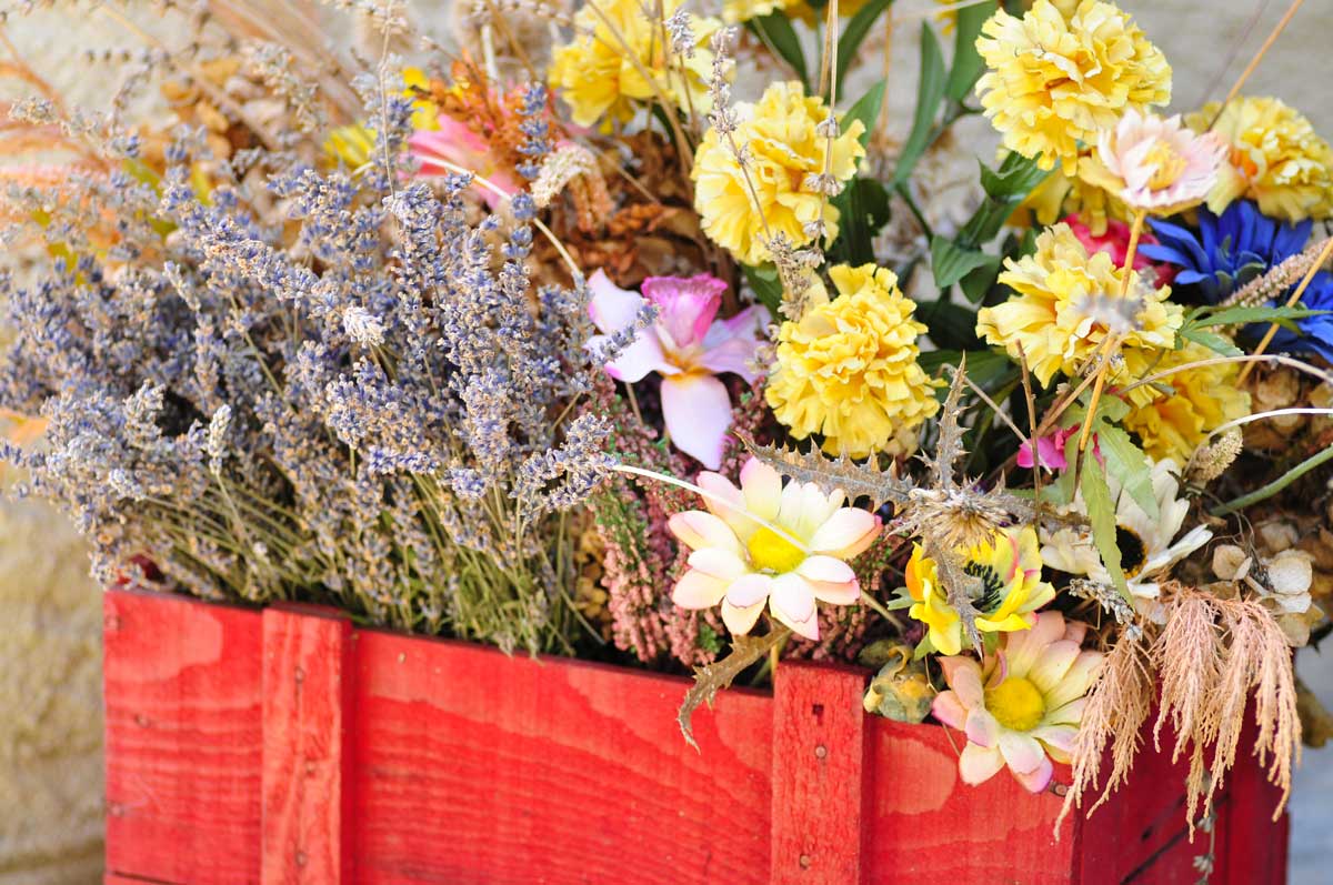 Cassetta di legno con fiori secchi.