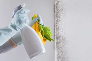 Muffa in casa: perché la candeggina non è la soluzione migliore? alternative candeggina contro muffa