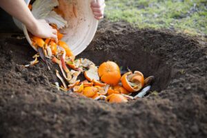 Le 8 migliori bucce di frutta da usare come fertilizzante per il tuo giardino: risultati sorprendenti bucce di frutta da usare come fertilizzante